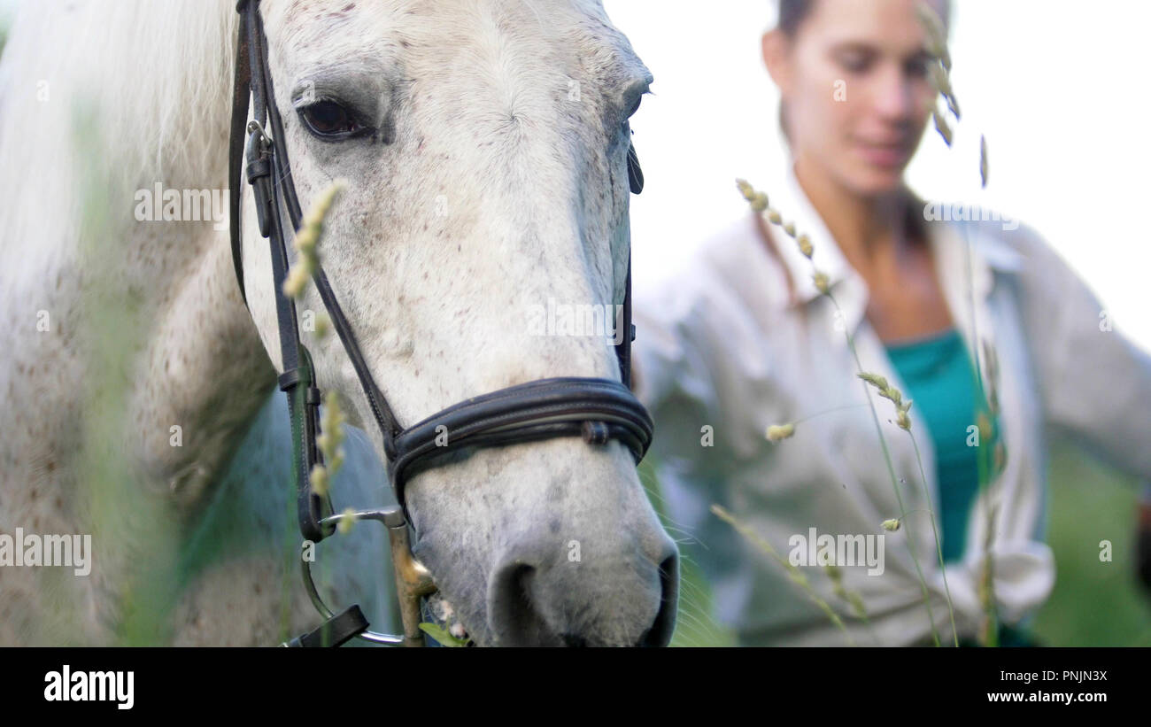 Schöne Frauen Mit Pferd Stockfotos und -bilder Kaufen - Alamy
