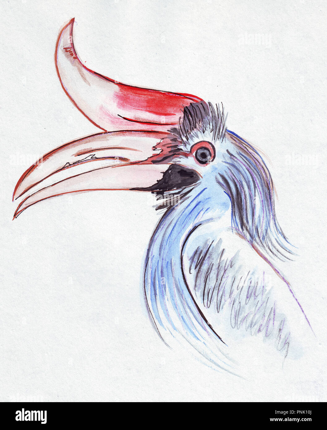 Abbildung mit brillanten Farben Porträt einer Toucan als Bild mit Wasserfarben Stockfoto