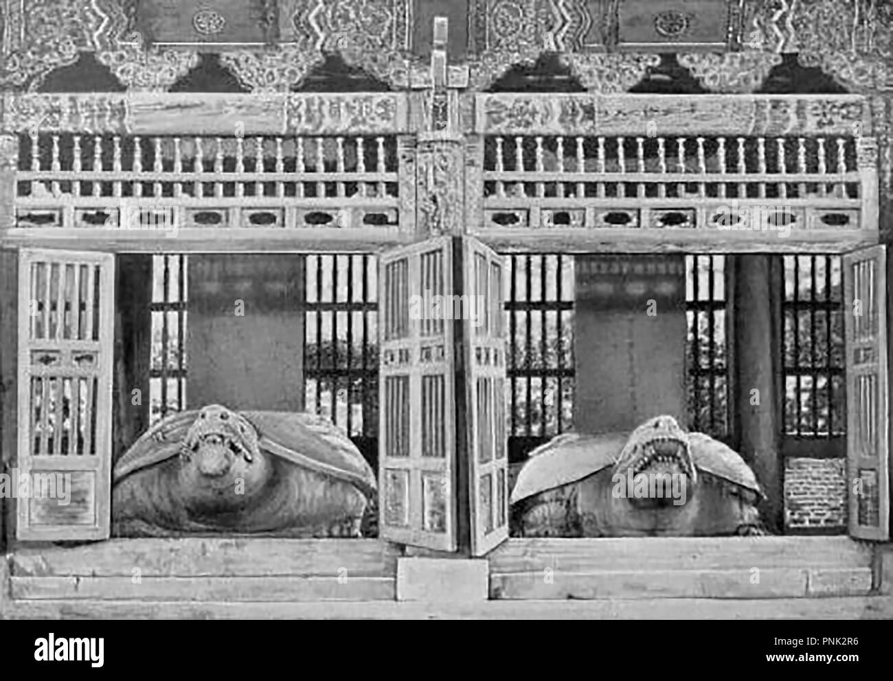 1904 KOREA - ein Blick auf die (ehemaligen?) Schildkröte Statuen in der Kaiserlichen Tablet Haus, Seoul Stockfoto