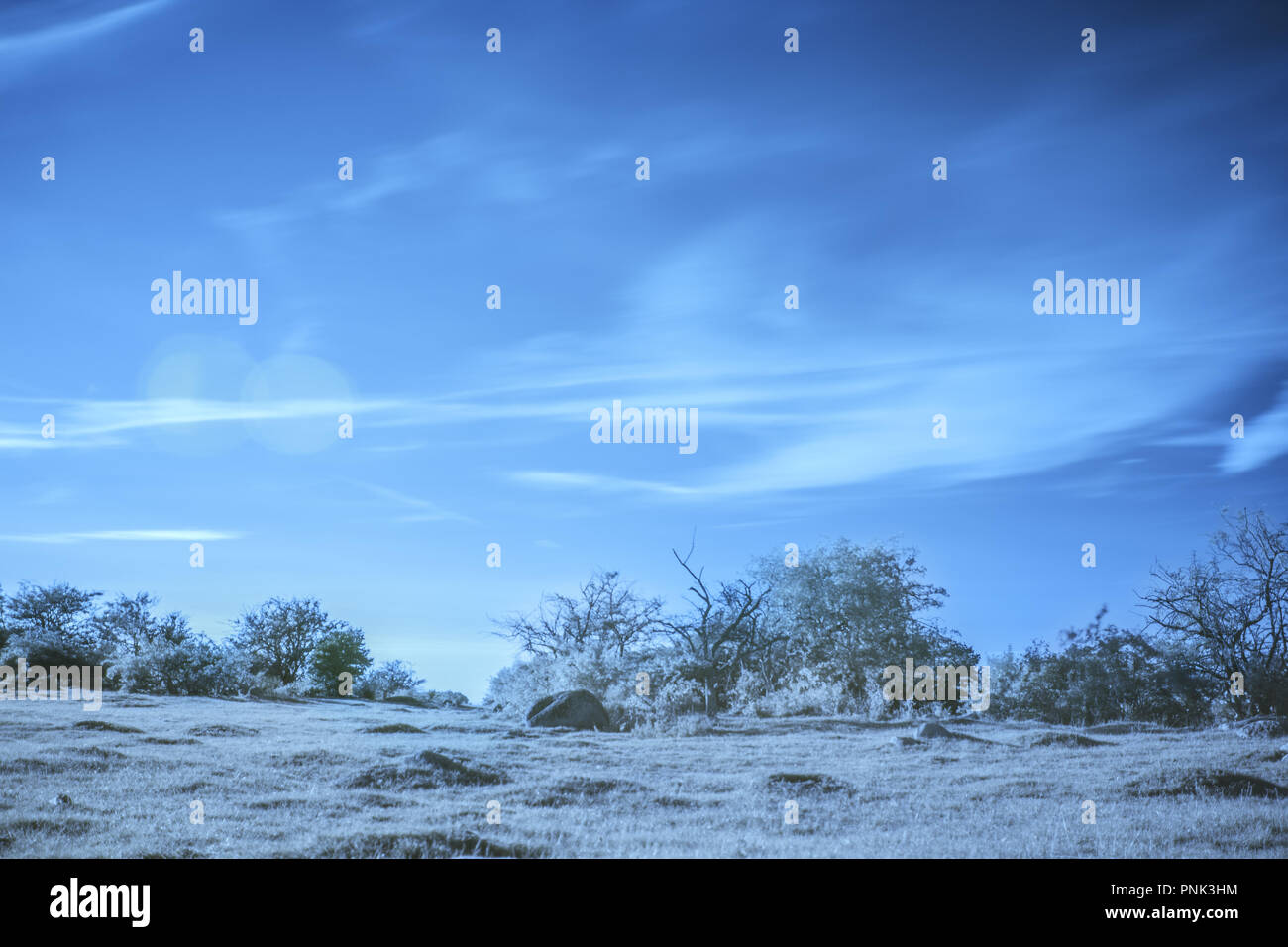 Eine Art Szene in einem Infrarot Fotografie erfasst Stockfoto