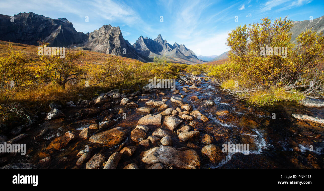 Tombstone Territorial Park willow Panoramaaussicht Stockfoto