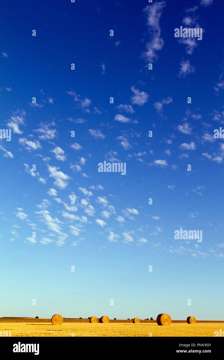 Bündel Stroh in die Landschaft Stockfoto