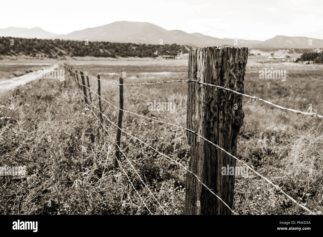 Schwarz & Weiß Sepia Ton der Stacheldrahtzaun; Colorado; USA Stockfoto