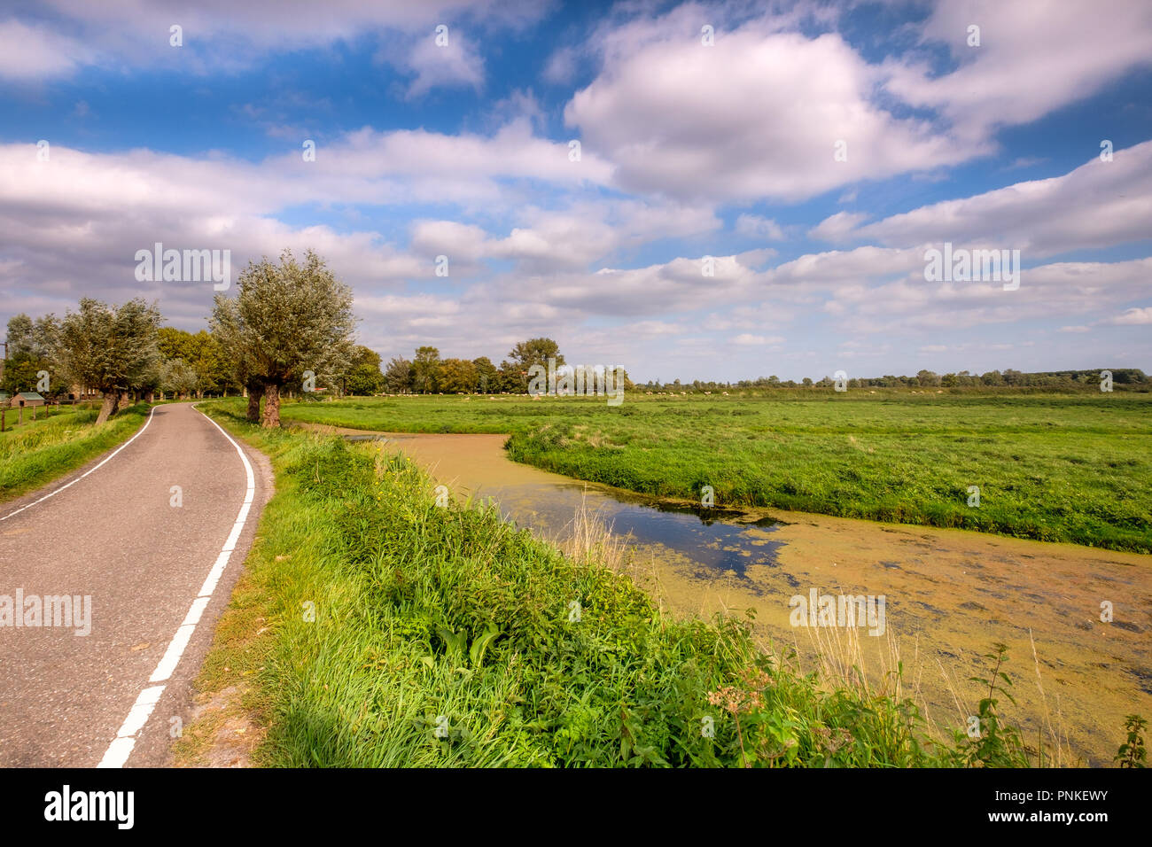 Breiten Graben mit Wasserlinsen in einer schönen, grünen Wiese Landschaft mit weißen Wolken vor blauem Himmel. Stockfoto