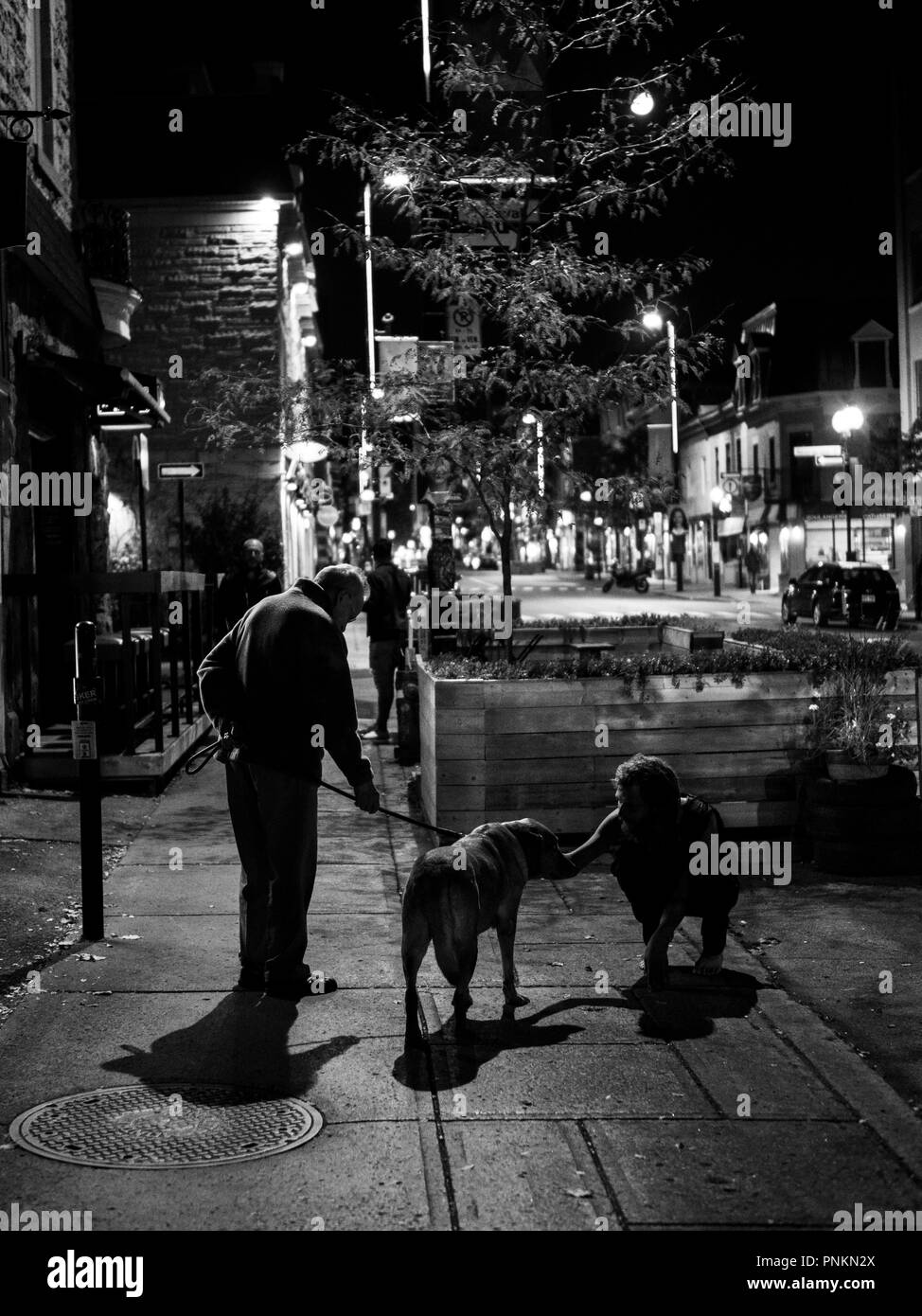 Silhouetten Menschen Hund Street Fotografie bei Nacht Plateau Mont-Royal, Punk, alter Mann Stockfoto