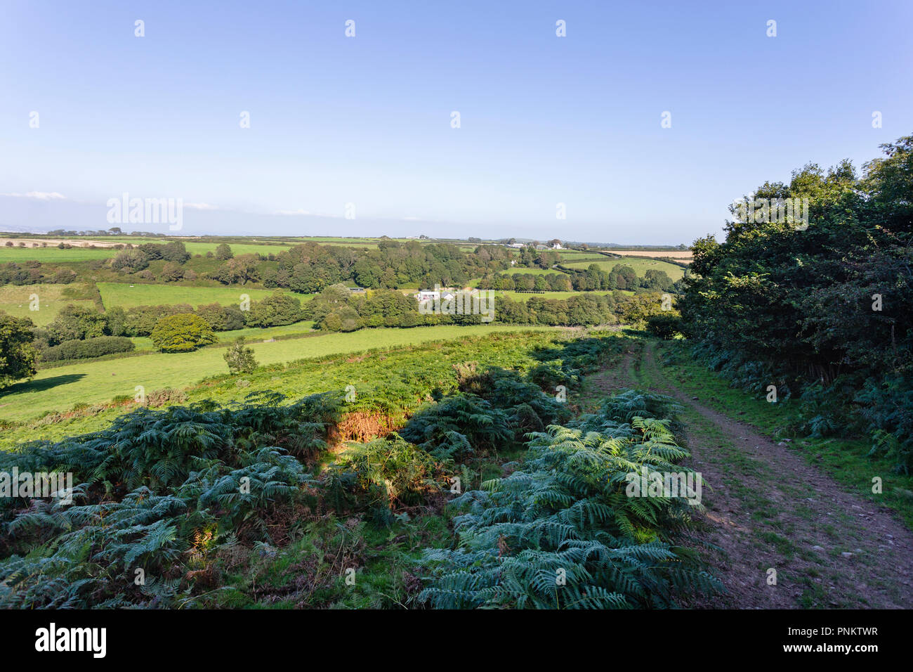 Blick auf die North Gower, Wales, auf dem Land von einem Rambler weg. Stockfoto