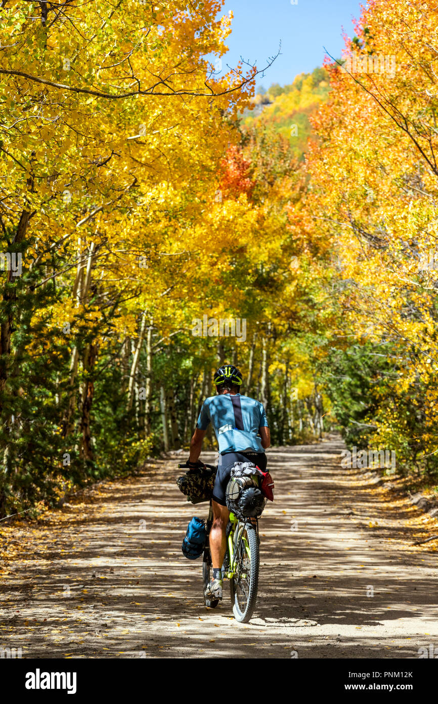 Männliche touring Radfahrer auf Marshall Pass Road, unter Monarch Crest Trail; Continental Divide; Colorado; USA Stockfoto