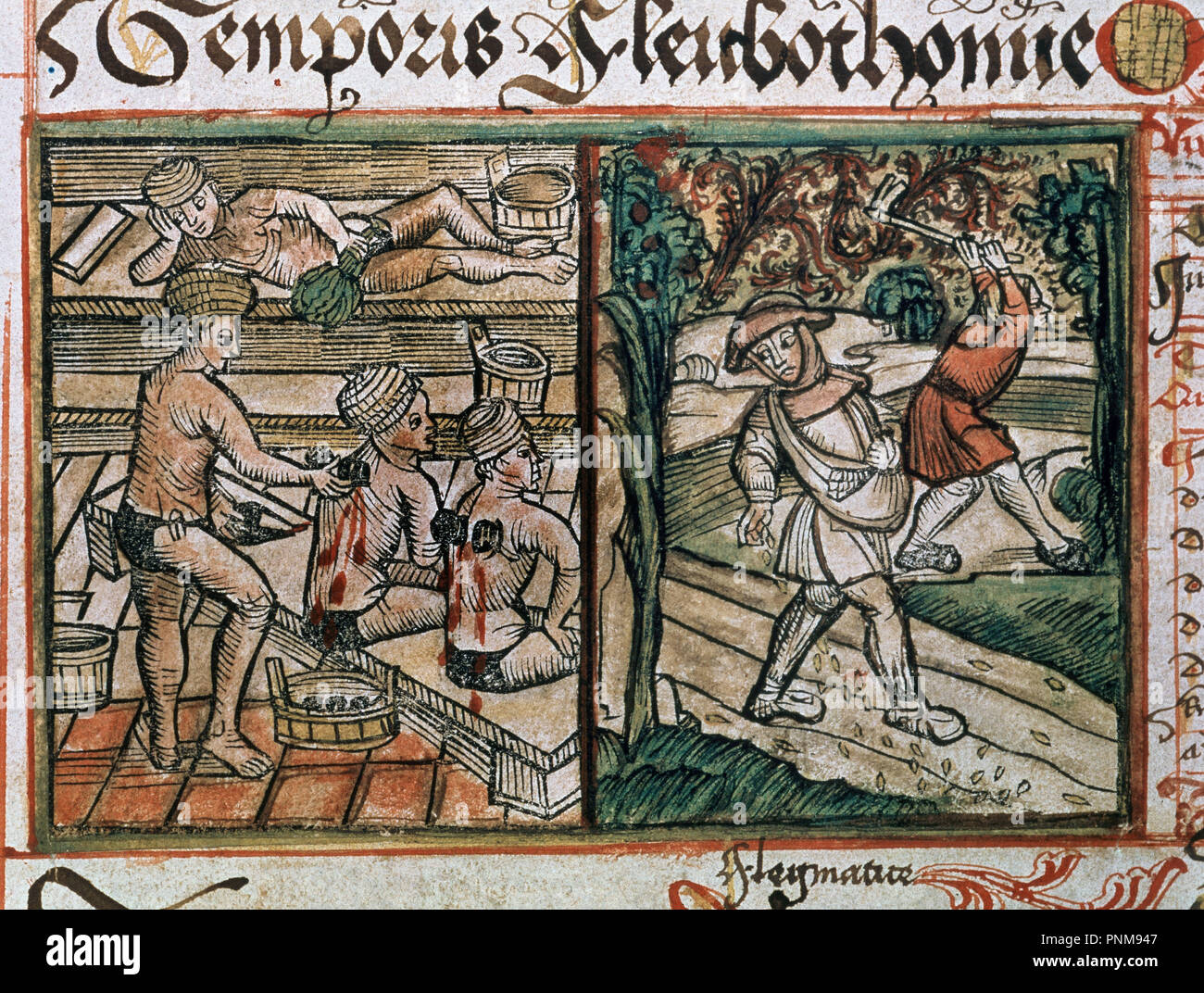 Manuskript SEITE DER MEDIZIN BUCH (Blutungen und Landwirte) 1498/1503. Lage: BIBLIOTECA. PRAG. Der TSCHECHISCHEN REPUBLIK. Stockfoto