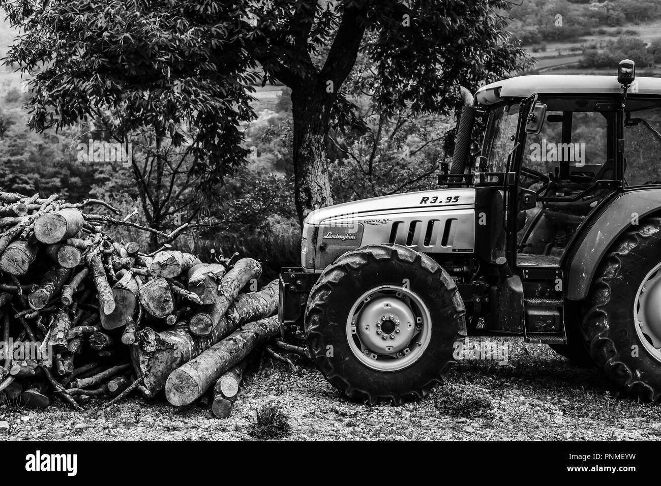 Ein Traktor und Protokolle Stockfoto