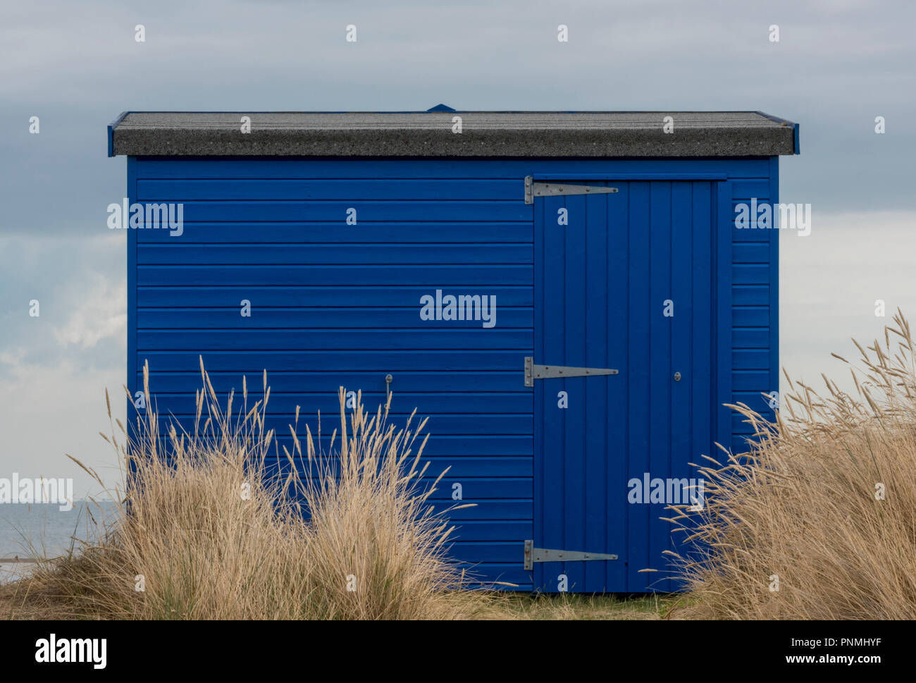 Eine blau lackierte Beach Hut in den Sanddünen und Christian Gras bei St Helens, bembridge, Isle of Wight Stockfoto