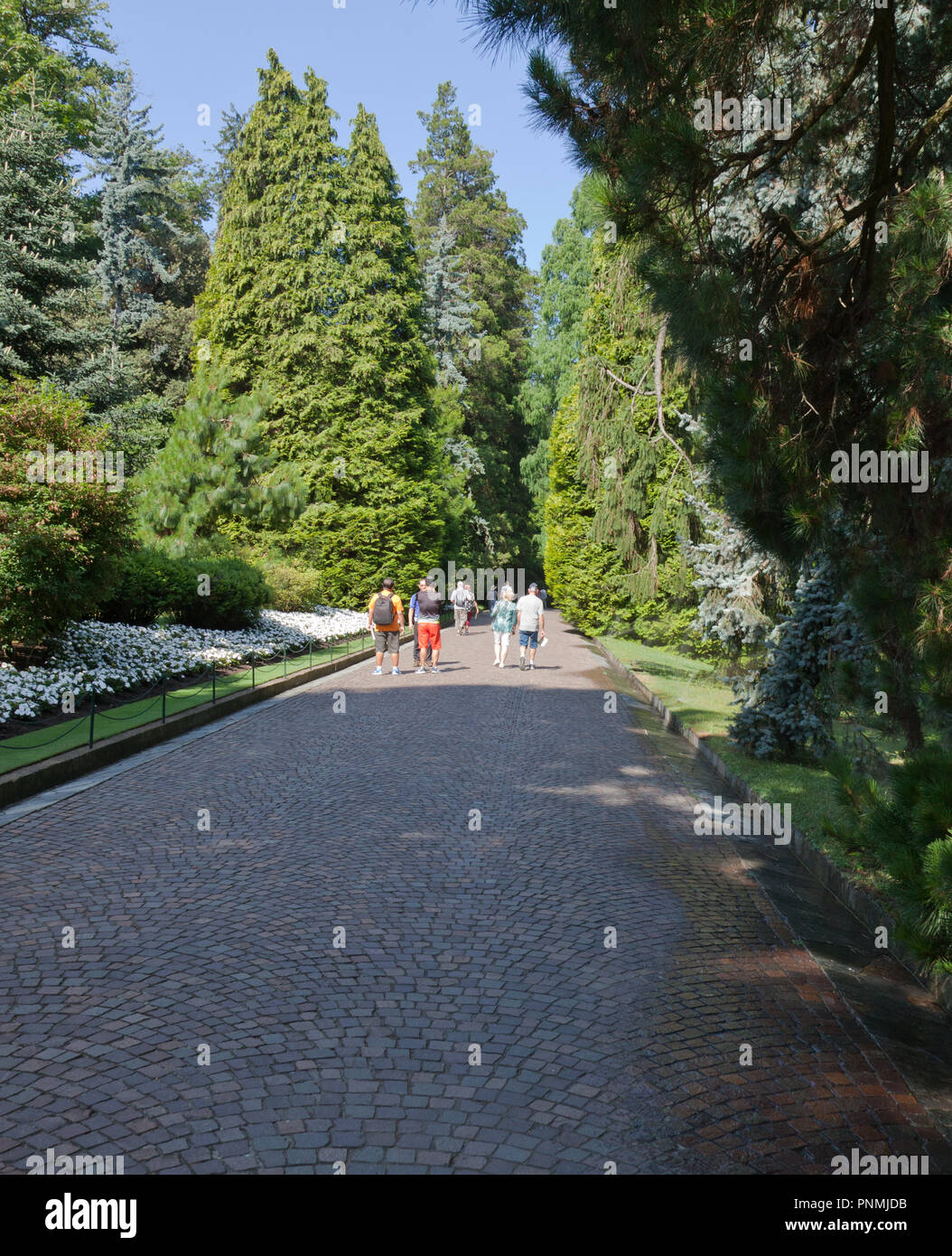 Weg in die Botanischen Gärten der Villa Taranto (Giardini Botanici Villa Taranto) in der Stadt Pallanza am westlichen Ufer des Lago Maggiore. Die gar Stockfoto