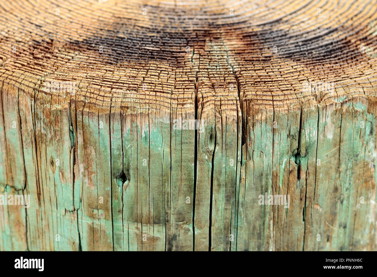 Oben Ansicht von Baumringen und Seitenansicht verwittertes Holz Pier, ein Hintergrund vintage grunge Textur der blasse Farbe, eine detaillierte raue Oberfläche vertikale l Stockfoto