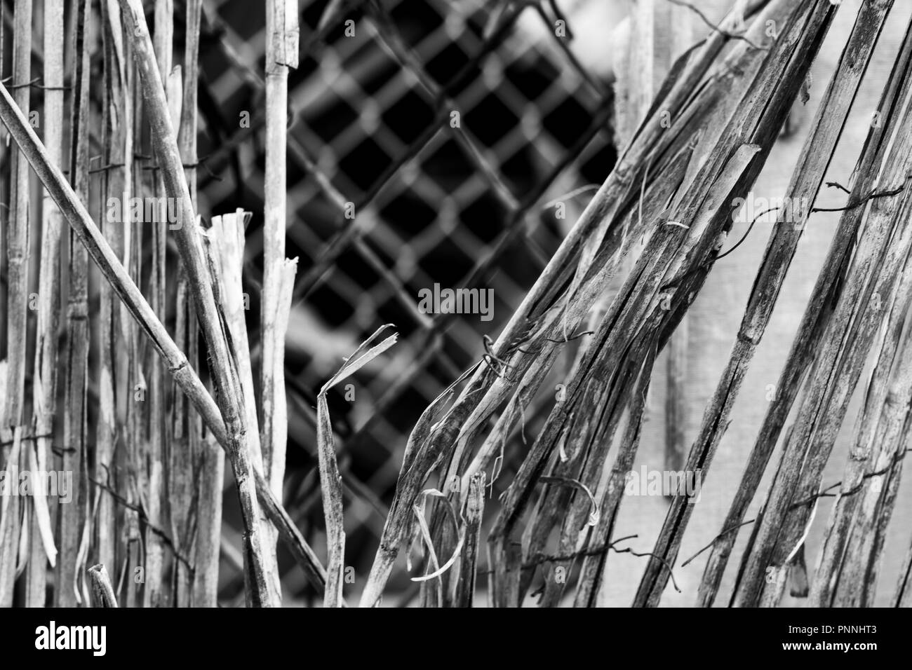 Vintage bamboo Rattan close-up Detail eines baufälligen Retro getragen Zaun zusammengehalten mit rostigem Draht, Maschendrahtzaun im Hintergrund, schwarz und whit Stockfoto