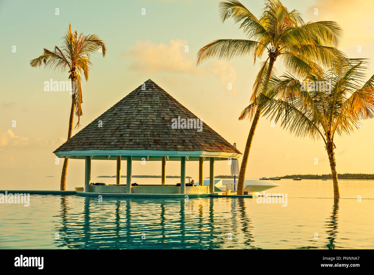 Bar Cafe und Pool in einem tropischen Strand, umgeben von Palmen - Hintergrund Stockfoto