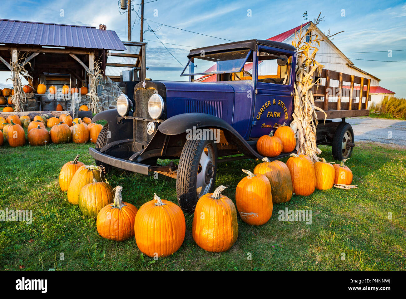 Eine antike Chevrolet Truck durch die Kürbisse auf einer Barre umgeben, MA Bauernhof stand Stockfoto
