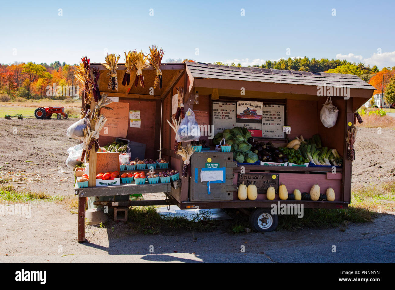 Ein Selbsthilfe farmstand Stockfoto