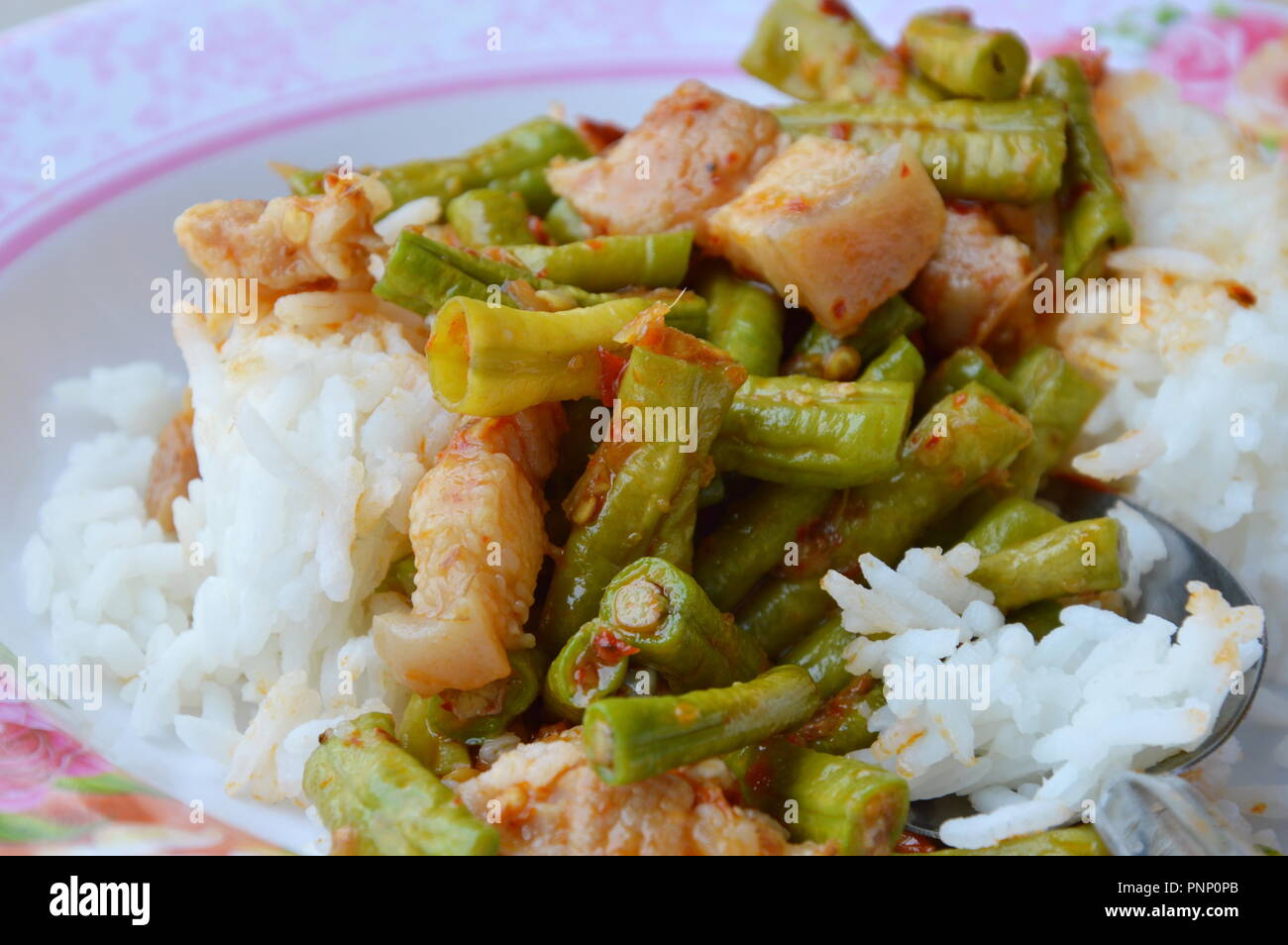 Wokgemüse curry Yard lange Bean mit Fett Schweinefleisch Thai einfach Mittagessen Stockfoto