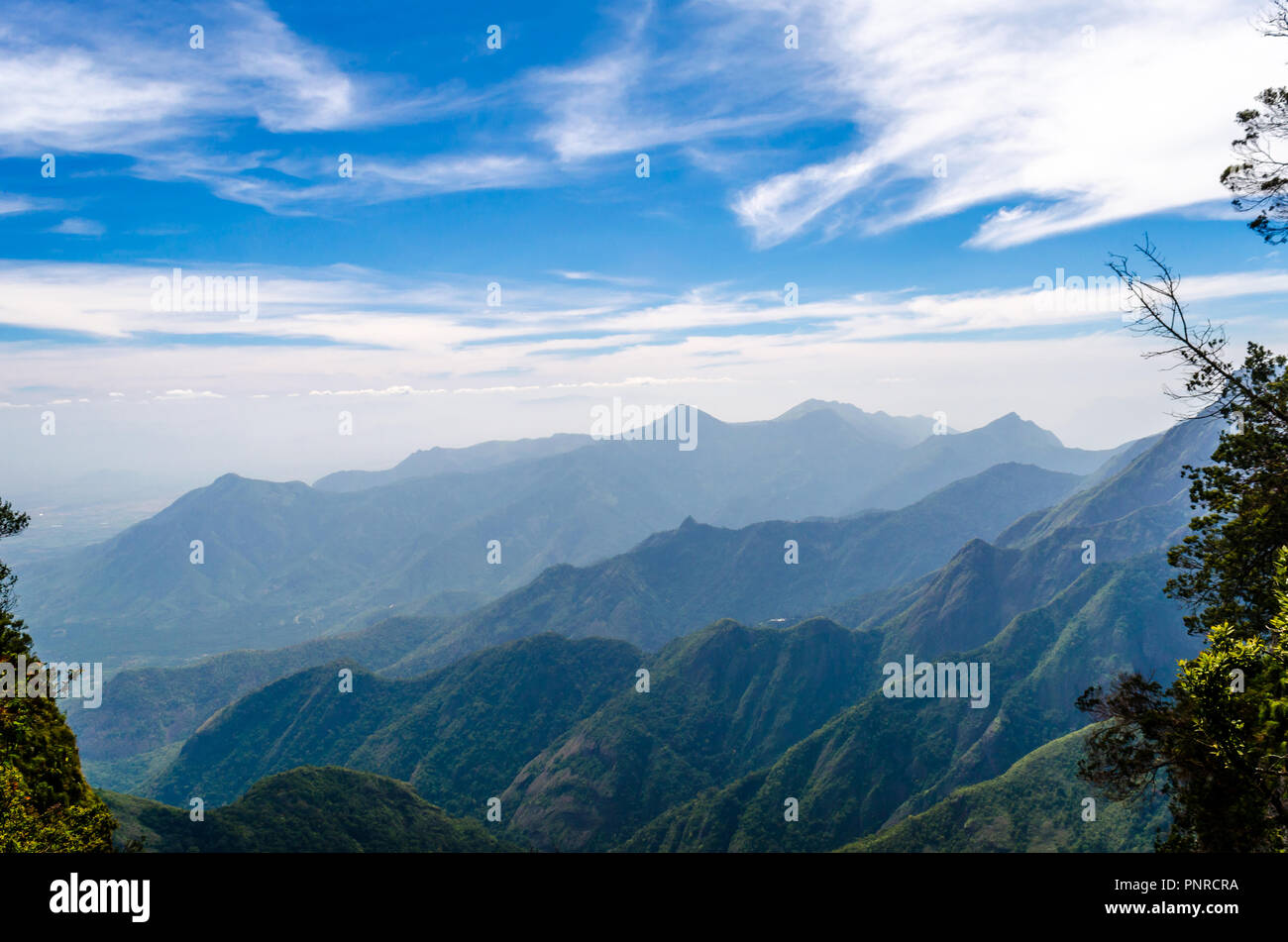 Die blauen Berge von Nilgiri, Indien Stockfoto