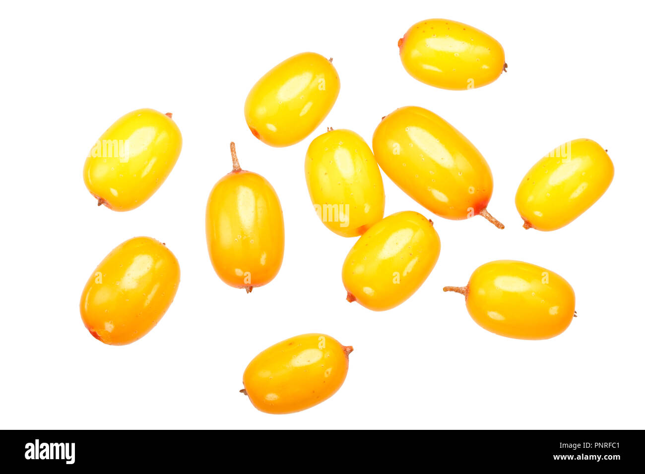 Sanddornbeeren (Hippophae rhamnoides Früchte), Ansicht von oben Stockfoto