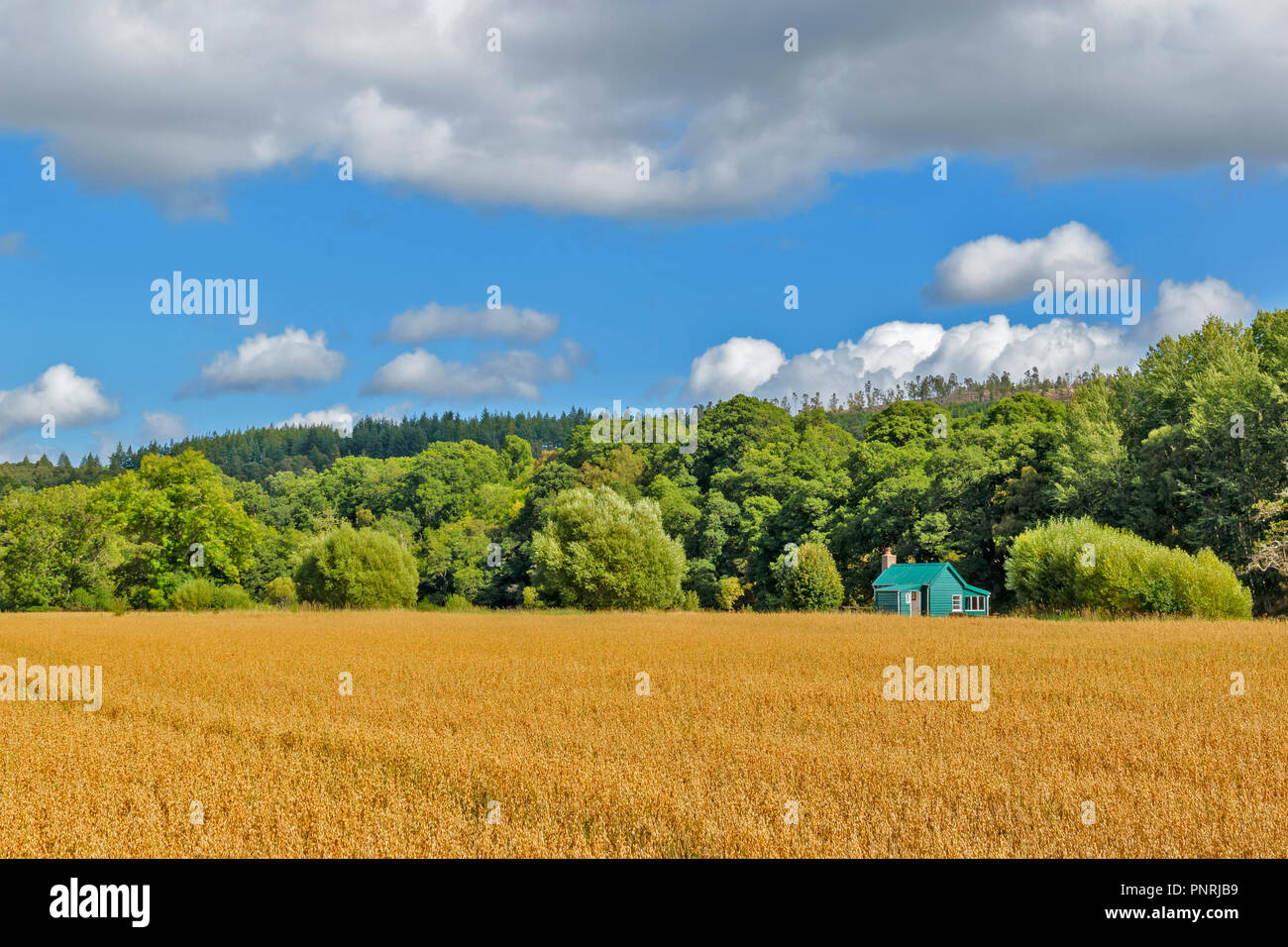 SPEYSIDE WAY ODER TRAIL SCHOTTLAND GRÜNE FISCHERHÜTTE UND HAFER FELD im Spätsommer Stockfoto
