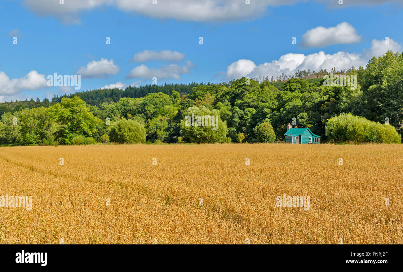 SPEYSIDE WAY ODER TRAIL SCHOTTLAND GRÜNE FISCHERHÜTTE UND HAFER FELD Stockfoto