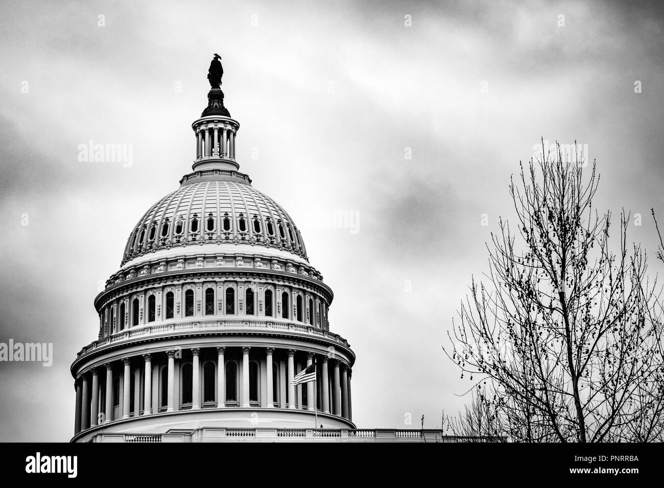 Schwarze und Weiße Kuppel der U.S. Capitol, Washington, D.C., USA Stockfoto
