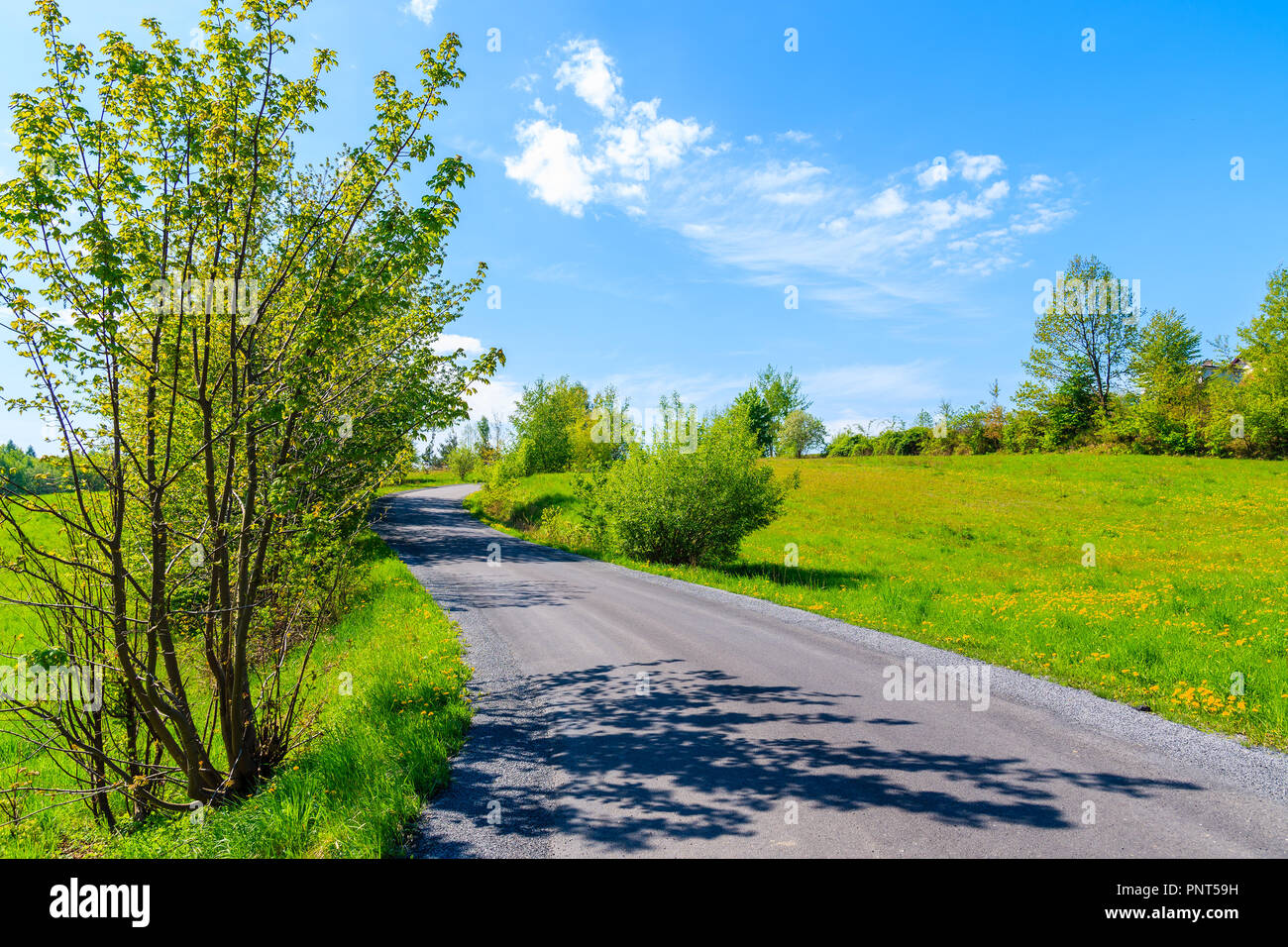 Ländliche Straße mit grünen Bäumen, in der Nähe von Krakow City während der Saison Frühjahr, Polen Stockfoto