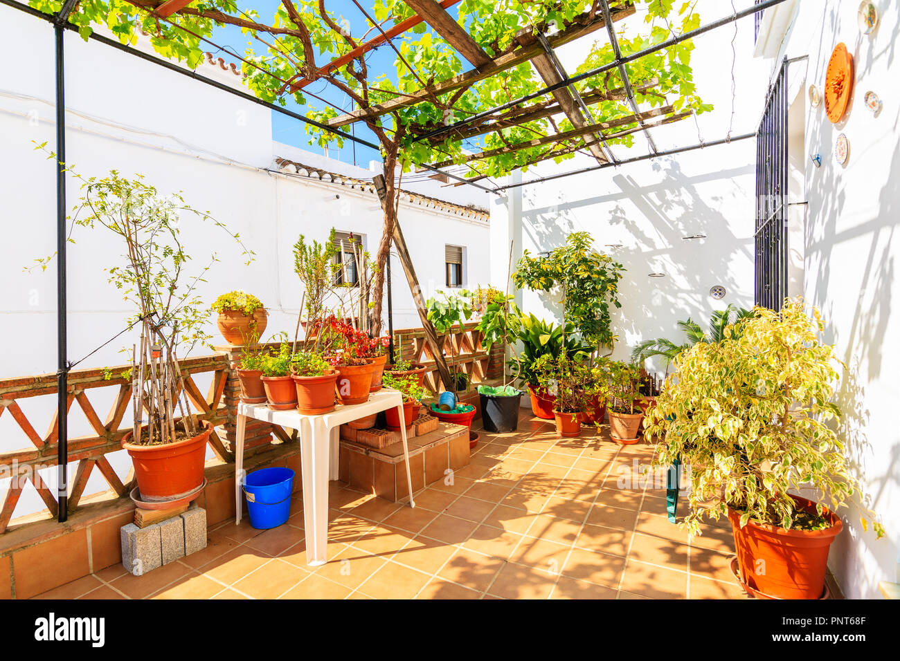 Pflanzen auf der Terrasse der typischen weißen Haus im malerischen Dorf Mijas, Andalusien. Spanien Stockfoto