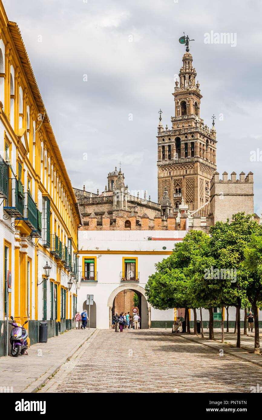 Sevilla, Spanien, 12. Mai 2011: Banderas Platz mit der Giralda Turm im Hintergrund. Stockfoto