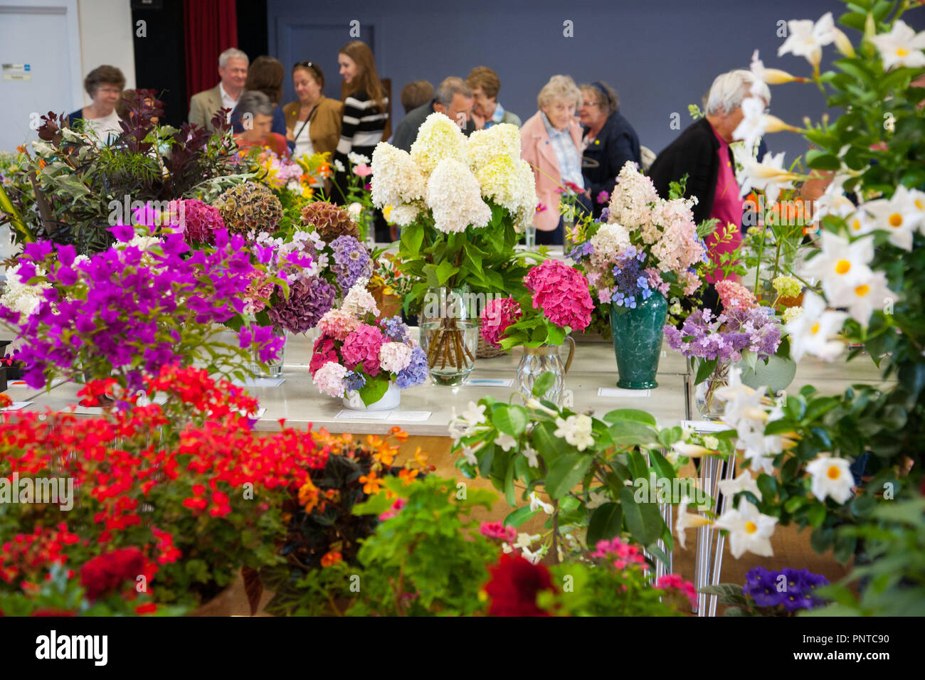 Dorf Blume zeigen an Colwall in Herefordshire Stockfoto