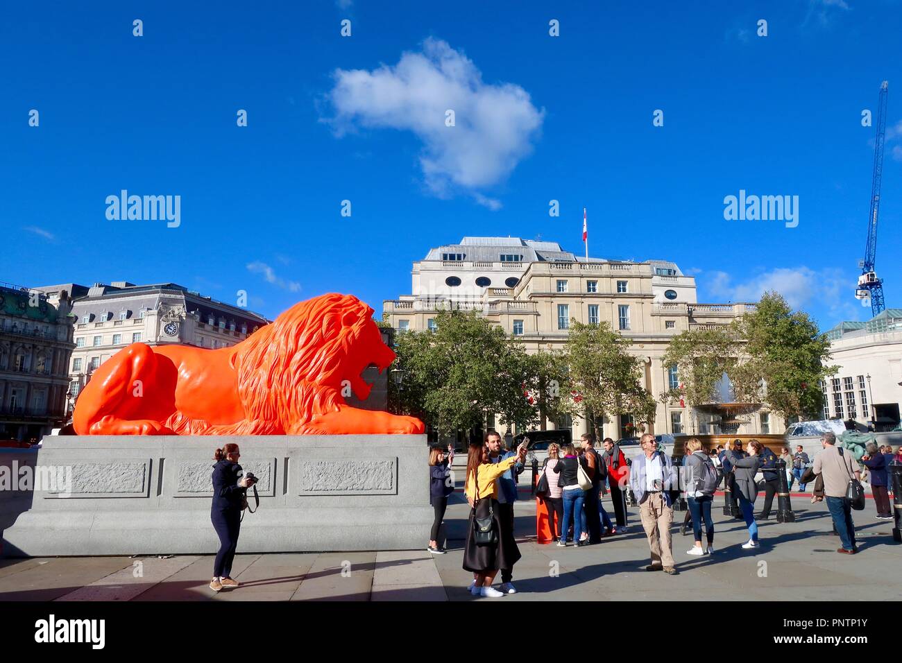 London, UK, September 2018. London Design Festival. Bitte geben Sie die Lions durch Es Devlin in Trafalgar Square. Helles orange Löwe brüllt Poesie. Stockfoto