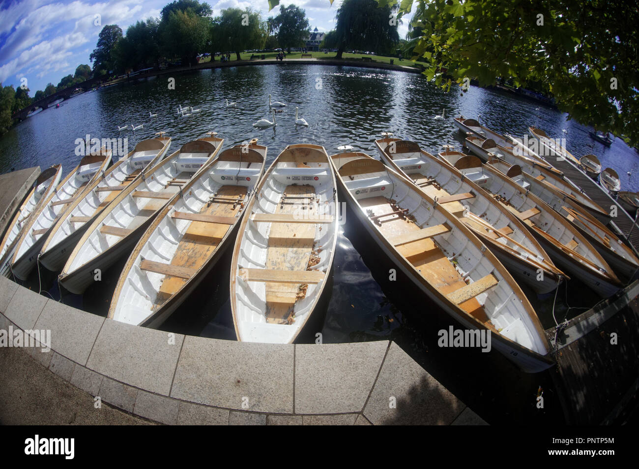 Straford-upon-Avon Ruderboote Stockfoto