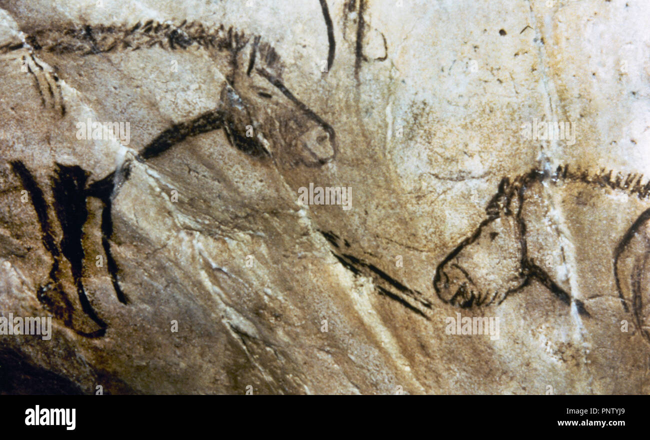 Frankreich. Occitaine Region. Ariege Abteilung. Höhle von Niaux. Magdalénien (17.000-11.000 Jahren). Späten Jungpaläolithikum. Schwarzes Zimmer. Höhlenmalereien, die Pferde. Stockfoto