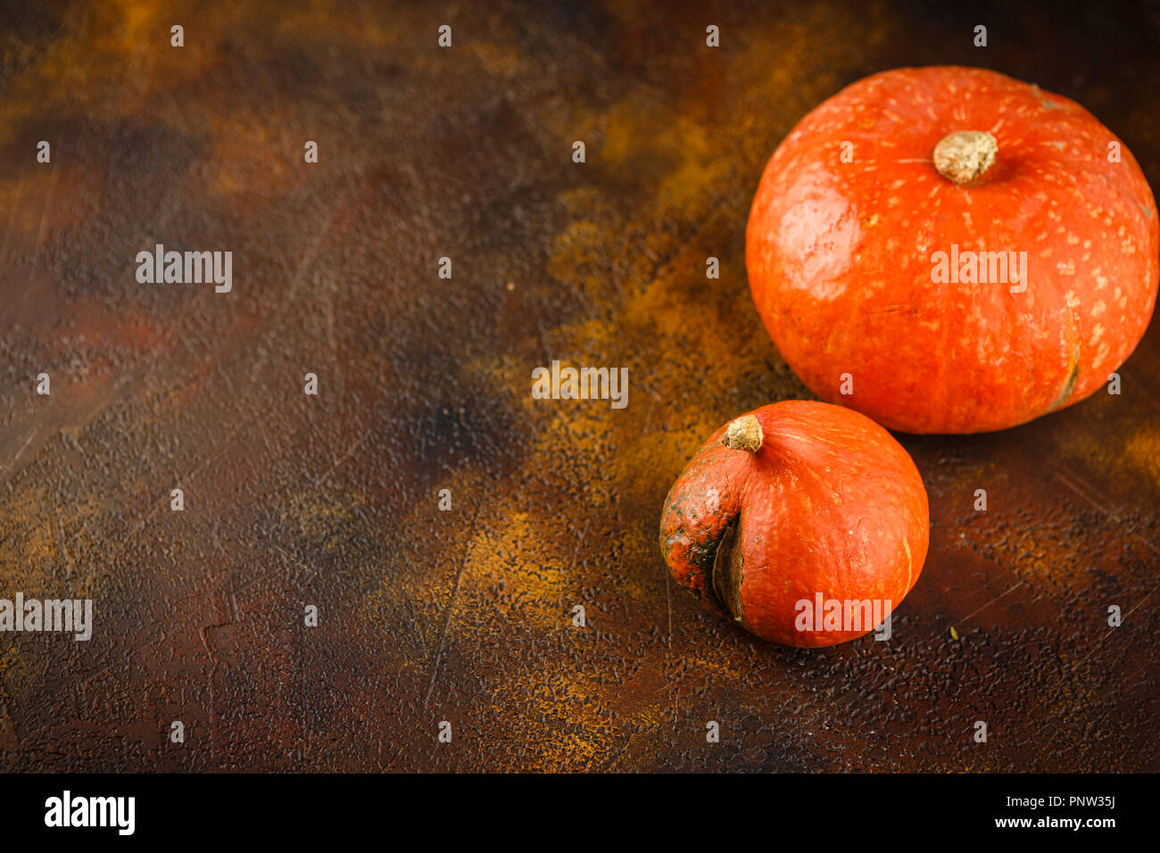 Herbst Kürbis Danksagung Hintergrund - orange Kürbisse über Rusty Hintergrund Stockfoto