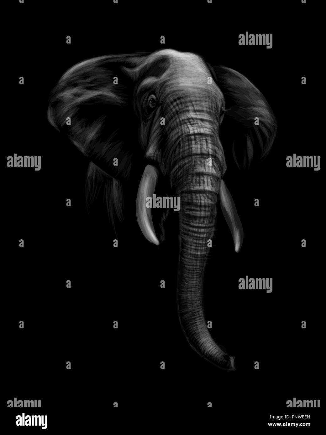 Portrait einer Elephant Head auf schwarzem Hintergrund Stock Vektor