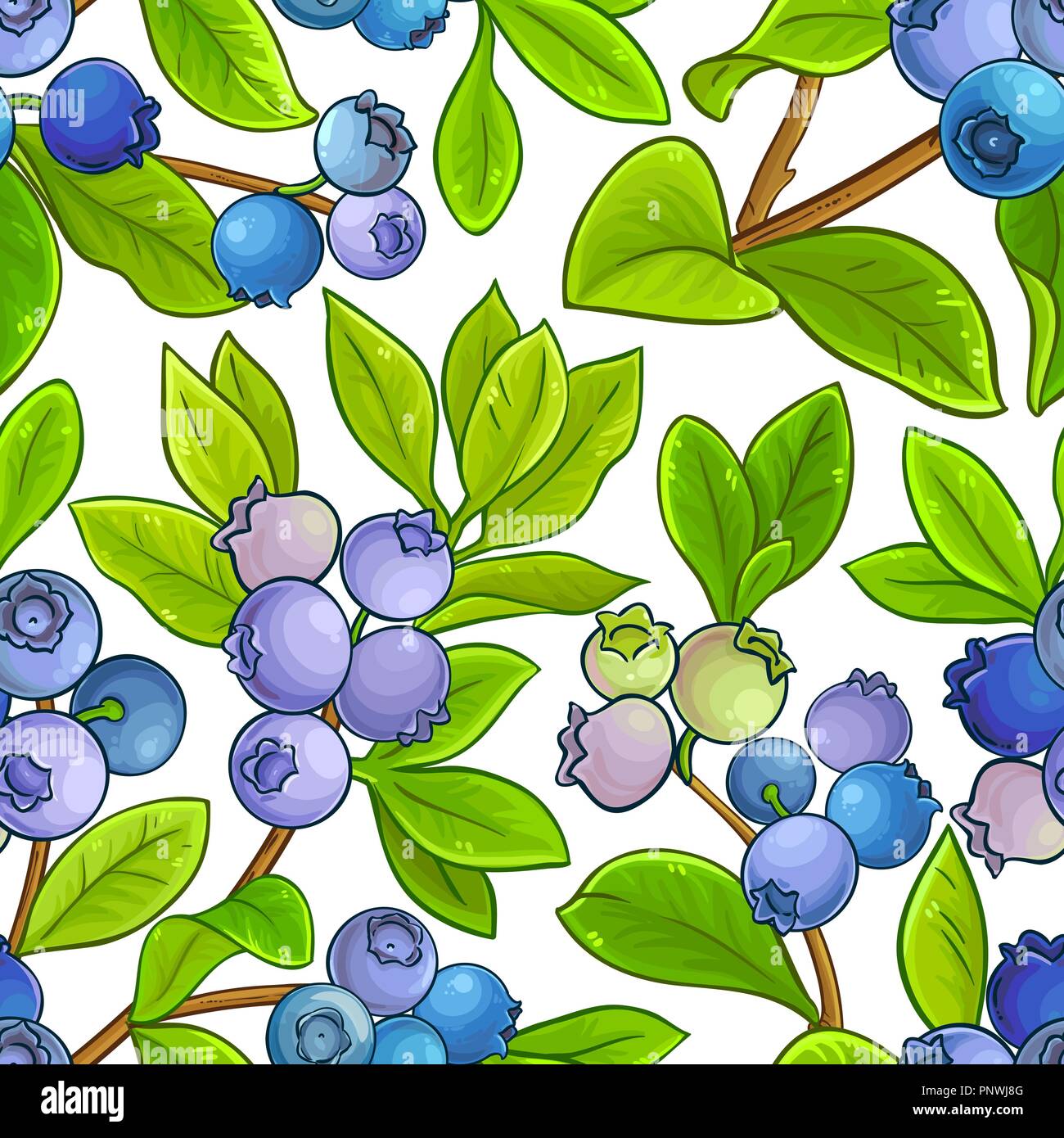 Blueberry vektor Muster auf weißem Hintergrund Stock Vektor