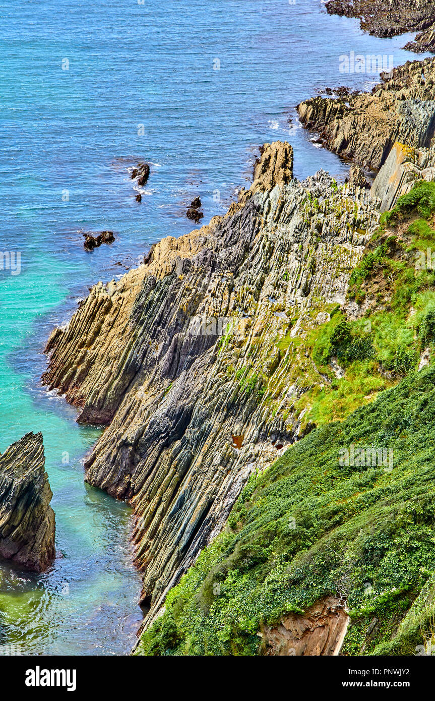 Devonzeit sedimentäre Gestein auf der South Devon Coast in der Nähe von Netton ausgesetzt Stockfoto