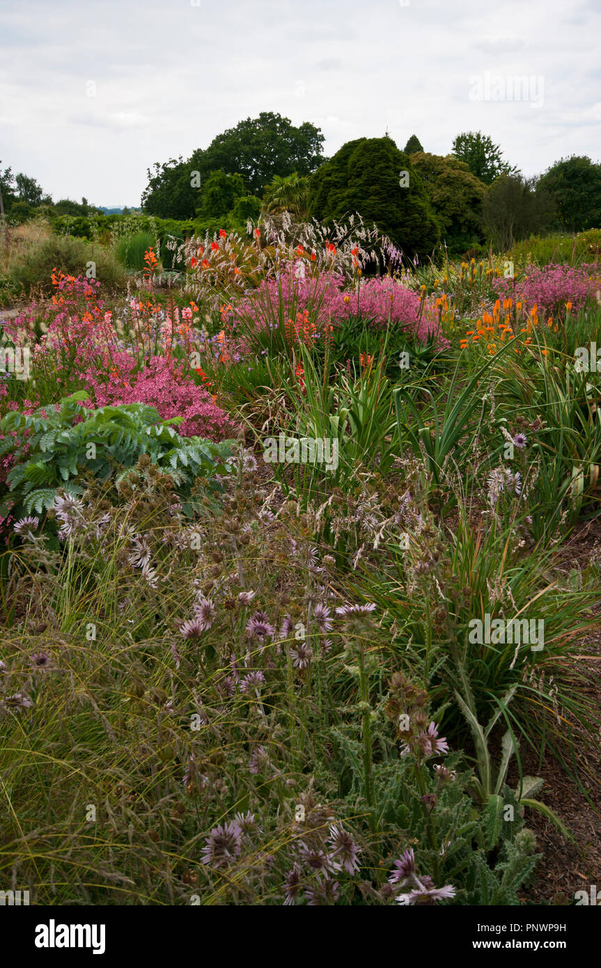 Eine trockene Rock Garden mit Trockenheit liebende Pflanzen Stockfoto