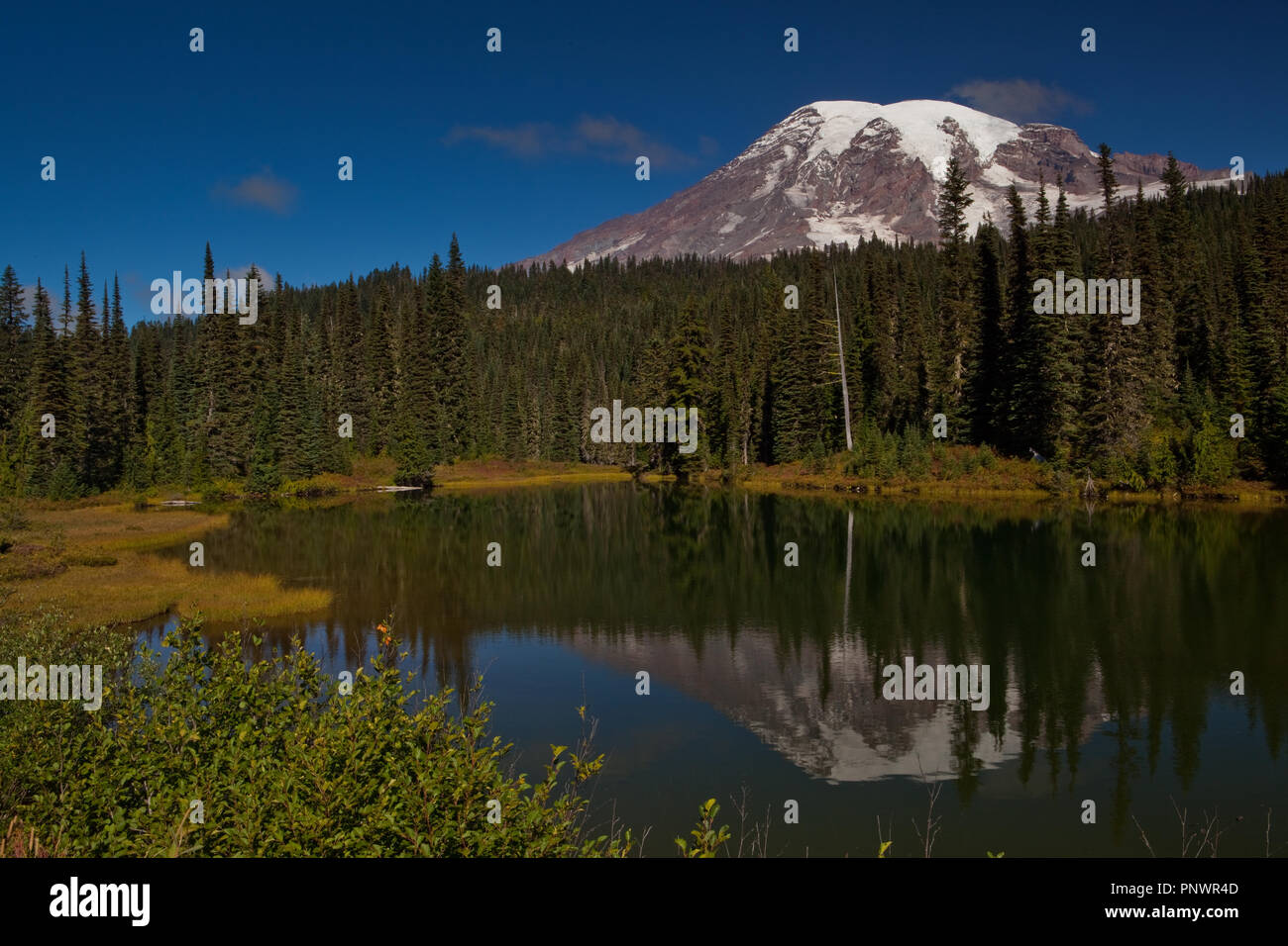 Mt. Rainier vom Reflexion See Stockfoto
