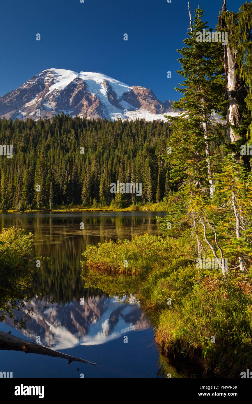Mt. Rainier vom Reflexion See Stockfoto