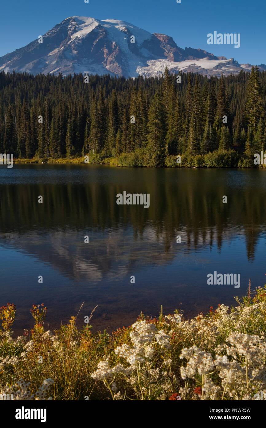 Mt. Rainier vom Reflexion See Stockfoto