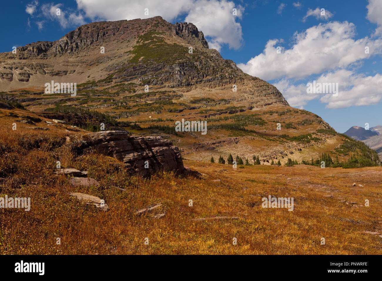 Logan Pass, Glacier NP Stockfoto