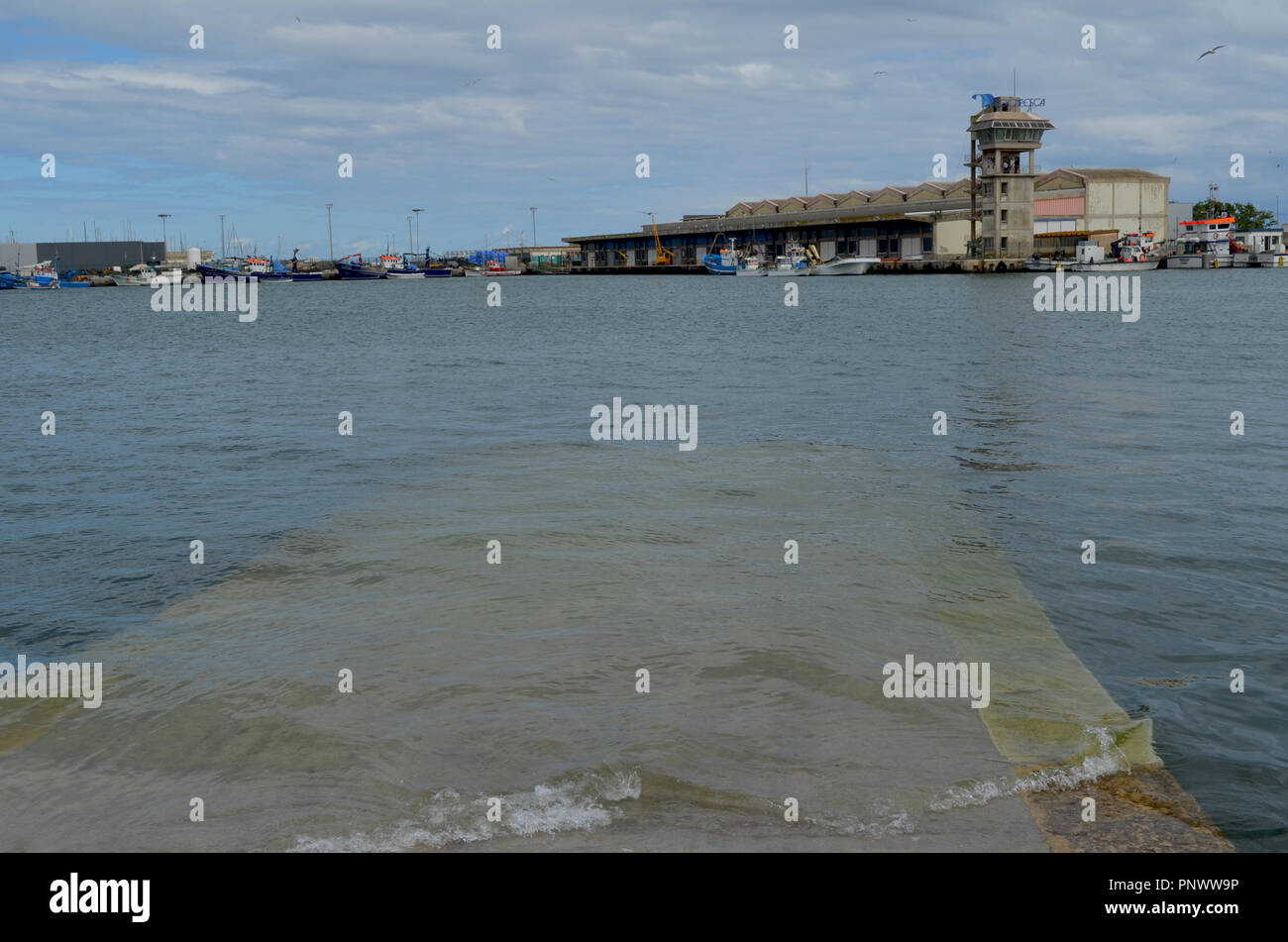 Die handwerkliche Flotte in den Hafen von Olhão, Algarve, Portugal Stockfoto