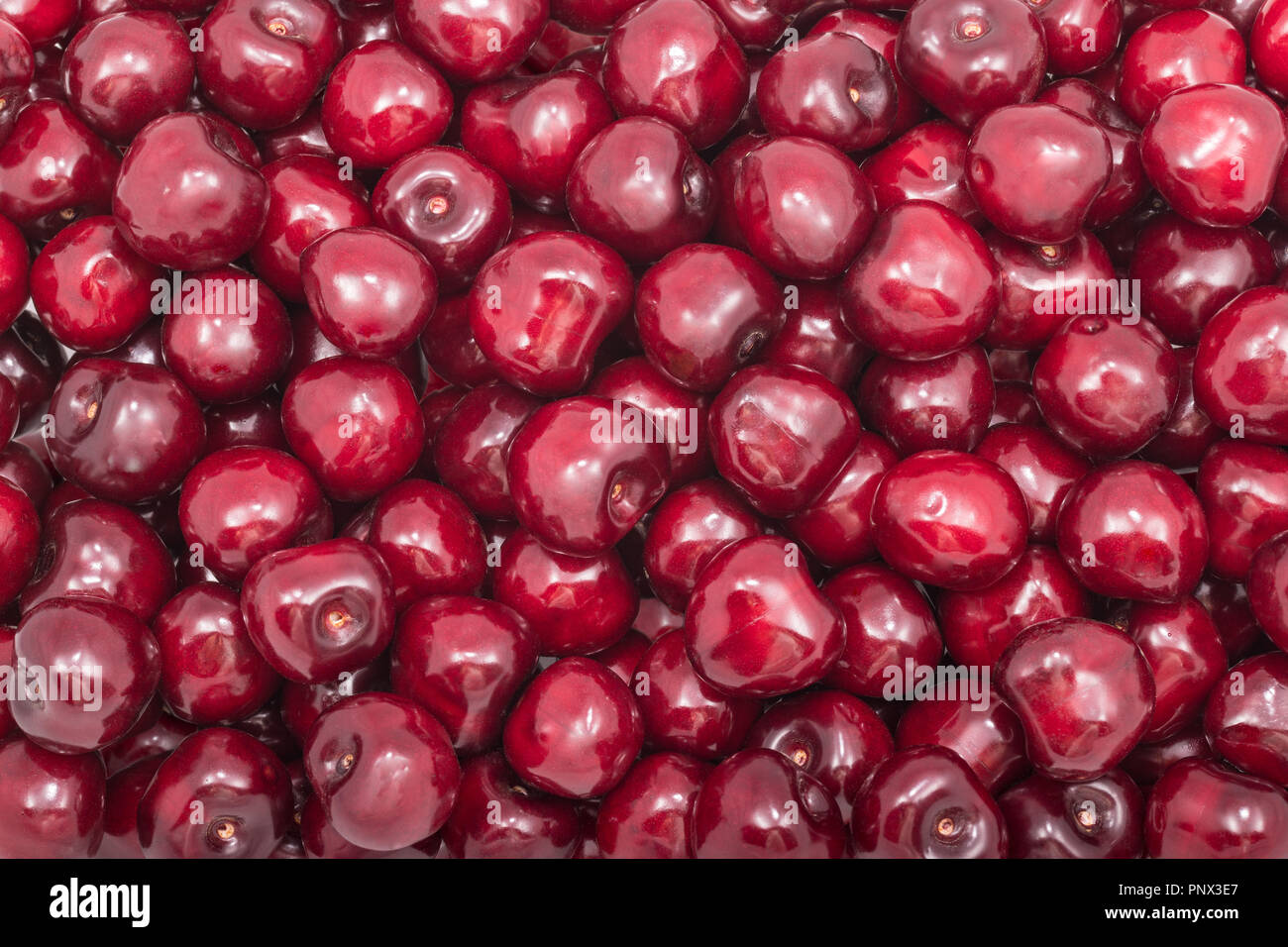 Textur von frischen Kirsche Früchte. Prunus avium. Rot fruchtig Hintergrund. Stapel der Süße reife Kirschen voller Vitamine, Antioxidantien und einem köstlichen Saft. Stockfoto