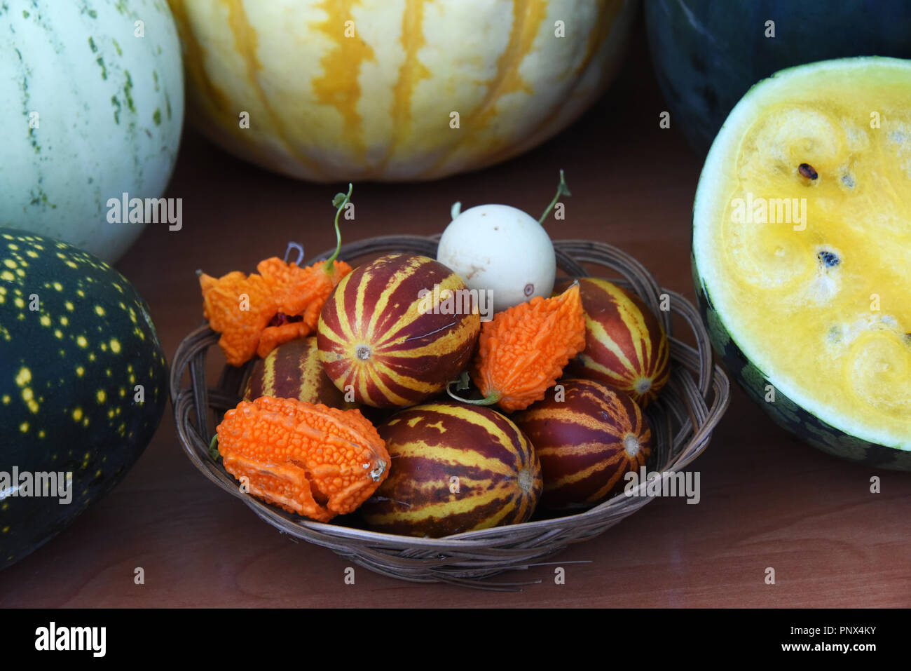 Melonen und Kürbissen - Zusammensetzung der verschiedenen Sorten Kürbisse, Melonen und Wassermelonen. Stockfoto