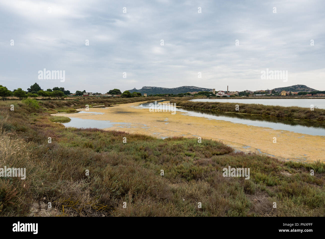 Regionaler Naturpark - molentargius Saline, Sardinien Stockfoto