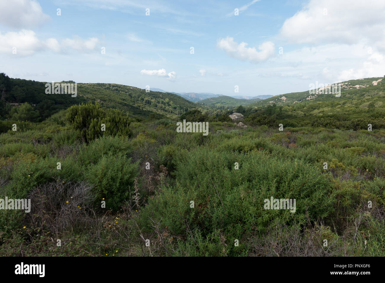 Lebensraum in sieben Brüder Nature Reserve. Sardinien Stockfoto