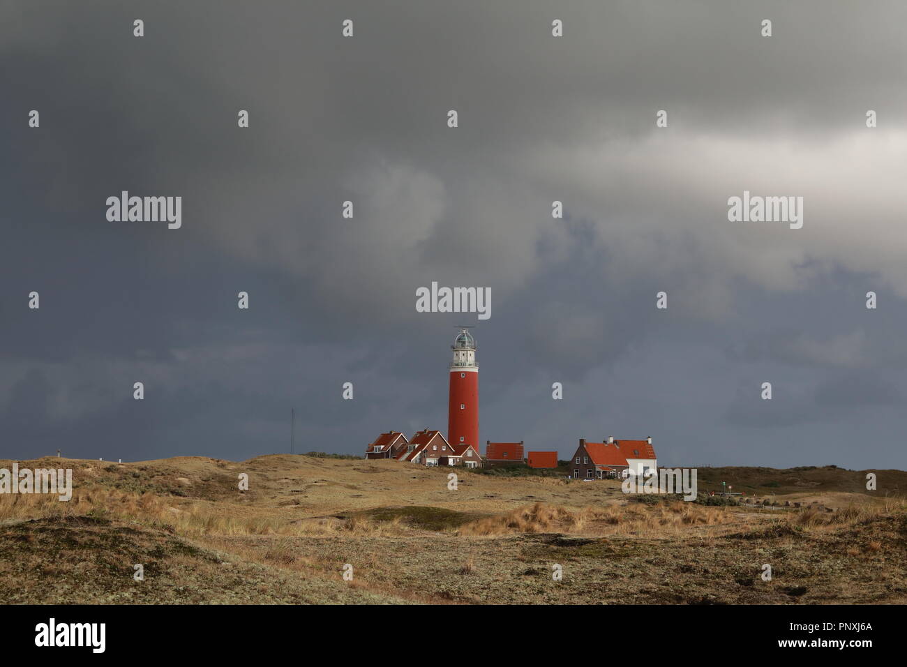 Der rote Leuchtturm und Häuser auf der Insel Texel, Holland ...