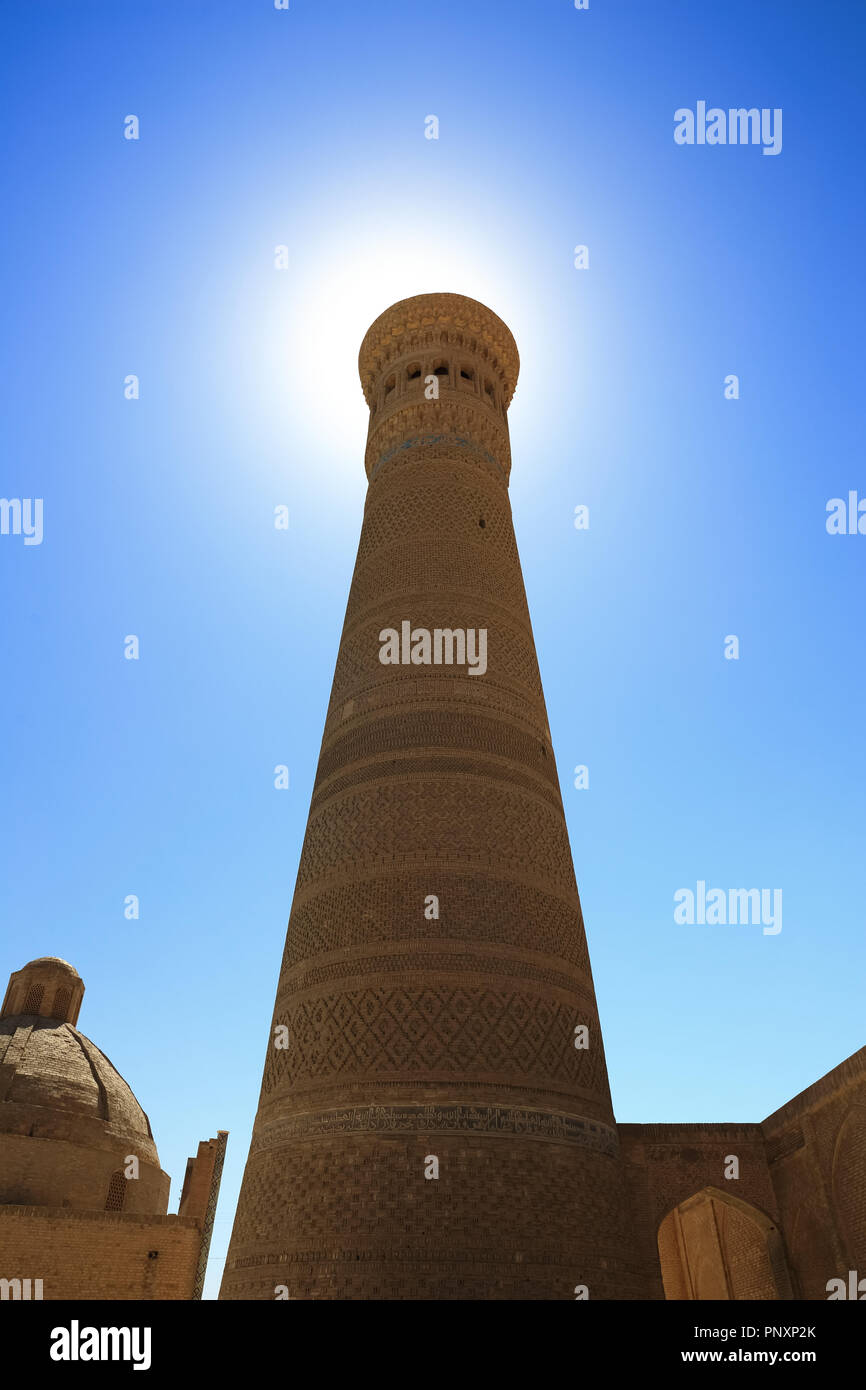 Buchara, Usbekistan - 27. August 2016: Die kalyan Minarett, wurde im Jahre 1127 errichtet, stand wie eine ehrfürchtige Architektur in der alten Seidenstraße bestaunen. Stockfoto