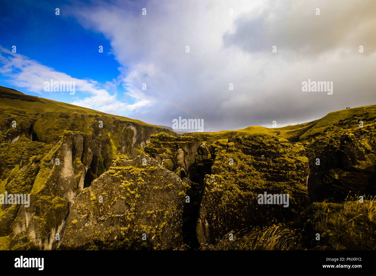 Wenn in Island Stockfoto